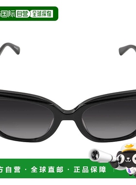 自营Longchamp Grey Gradient Cat Eye Ladies Sunglasses LO669S