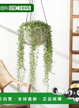 自营 safaviehRancer 花盆 - 浅灰色 美国奥莱直发