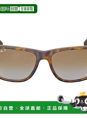 自营ray-banRay Ban Justin Classic Polarized Brown Gradient S