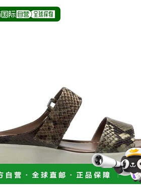 自营Aerosoles Willow Brown / Green Comb  WILLOW-BRWNGRN Wome