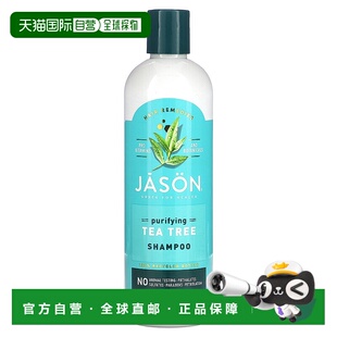 香港直邮健生,Hair Remedies，茶树净化洗发水，12 液量盎司（355