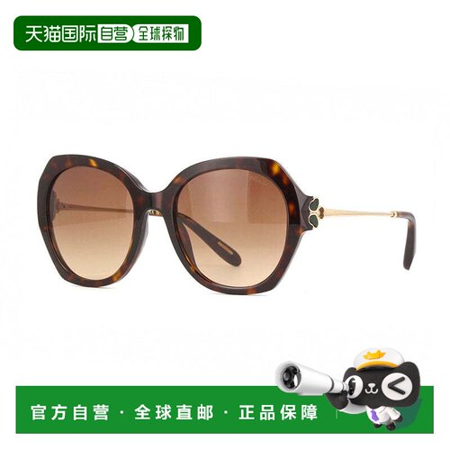 自营chopardSCH354V 0743 Shiny Brown Havana/Gold/Brown Gradie