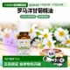 罗马洋甘菊 0.125 盎司 香港直邮Aura 正品 全精油 3.7 Cacia