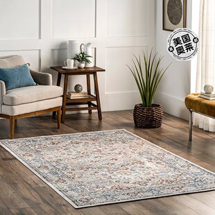 Washable Machine Transitional Area beige nuLOOM Rug Cady