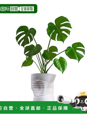 jonathan yBrent MidCentury 现代室内压碎罐环保 3D 打印花盆带