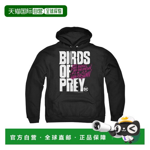 自营 gildanBirds Of Prey Birds Of Prey 徽标成人套头连帽衫 /