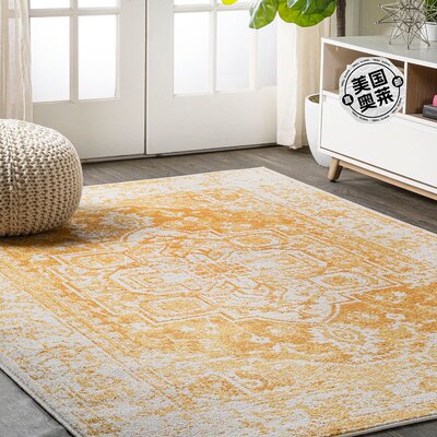 jonathan y Audrey Bohemian Ornate Medallion 区域地毯 - 橙色/