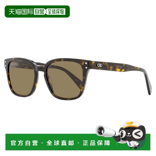 自营salvatore ferragamoFerragamo男士方形钥匙孔太阳镜SF1040SC