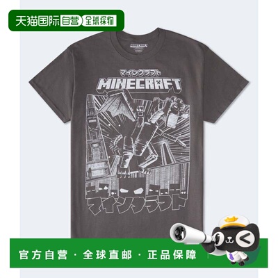 自营Aeropostale Minecraft Relaxed Graphic Tee - grey 084 美
