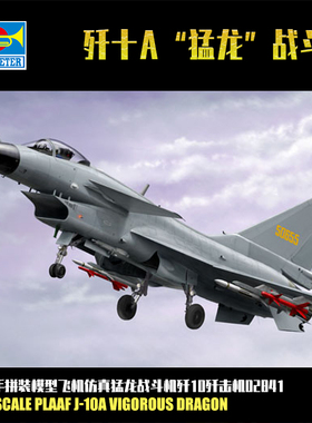 小号手1/48歼十A猛龙战斗机歼10歼击机拼装军事飞机模型02841仿真