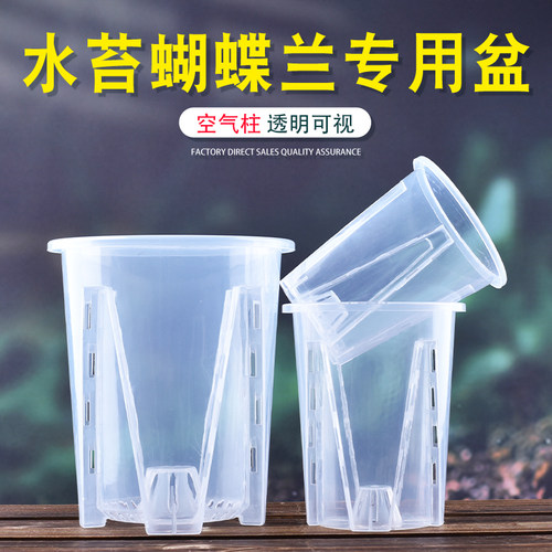 透明青山控根盆兰花水苔蝴蝶