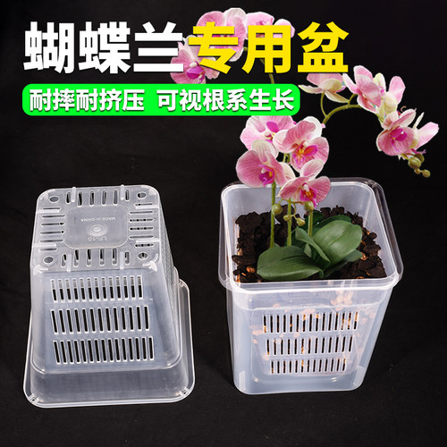 蝴蝶兰套盆透气兰花控根养根