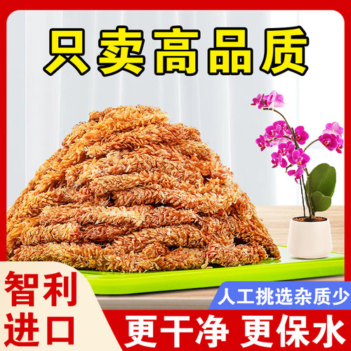 醉花兰科通用型纤维粗壮