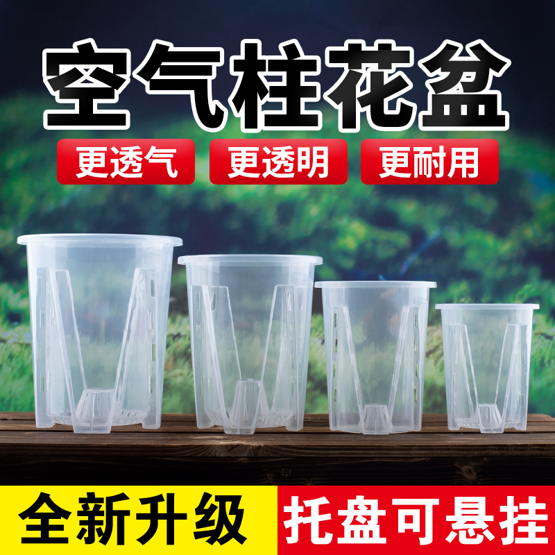 透明青山控根盆兰花石斛水苔蝴蝶兰专用花盆大号家用塑料透气镂空