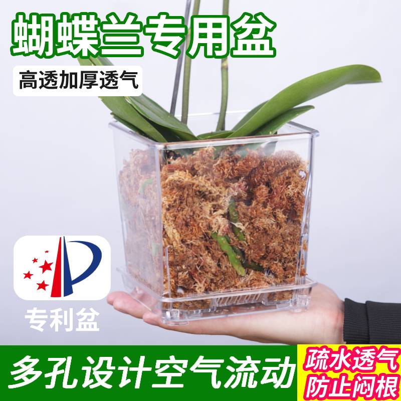 醉花透明花盆透水透气控根兰花盆