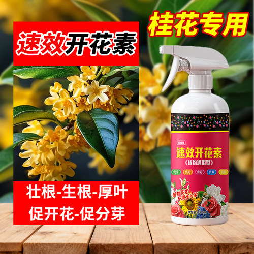 桂花专用速效开花素液体营养液免稀释即喷植物促花爆花催花易吸收