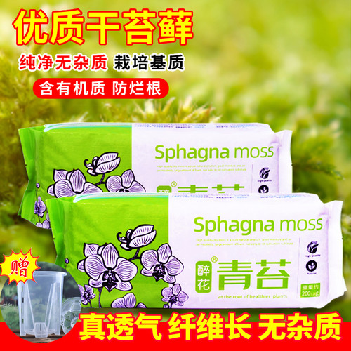 干苔藓青苔水苔兰花蝴蝶兰种植