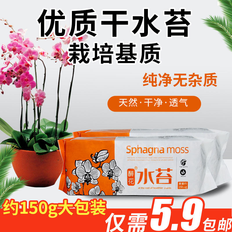 兰花水苔素材模板 兰花水苔图片下载 小麦优选