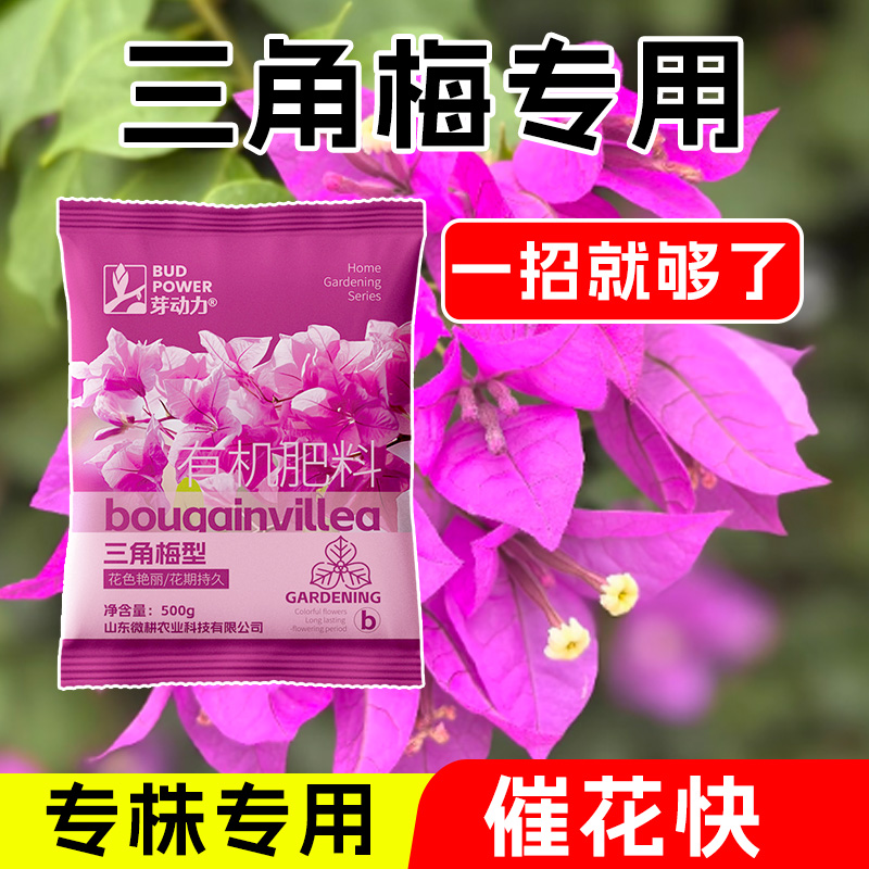 醉花三角梅开花专用肥土壤调酸颗粒剂专为三角梅根系发育环境设计