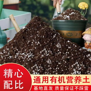 通用型有机营养土花土月季 专用绿萝养花种菜种植土家用花肥泥炭土