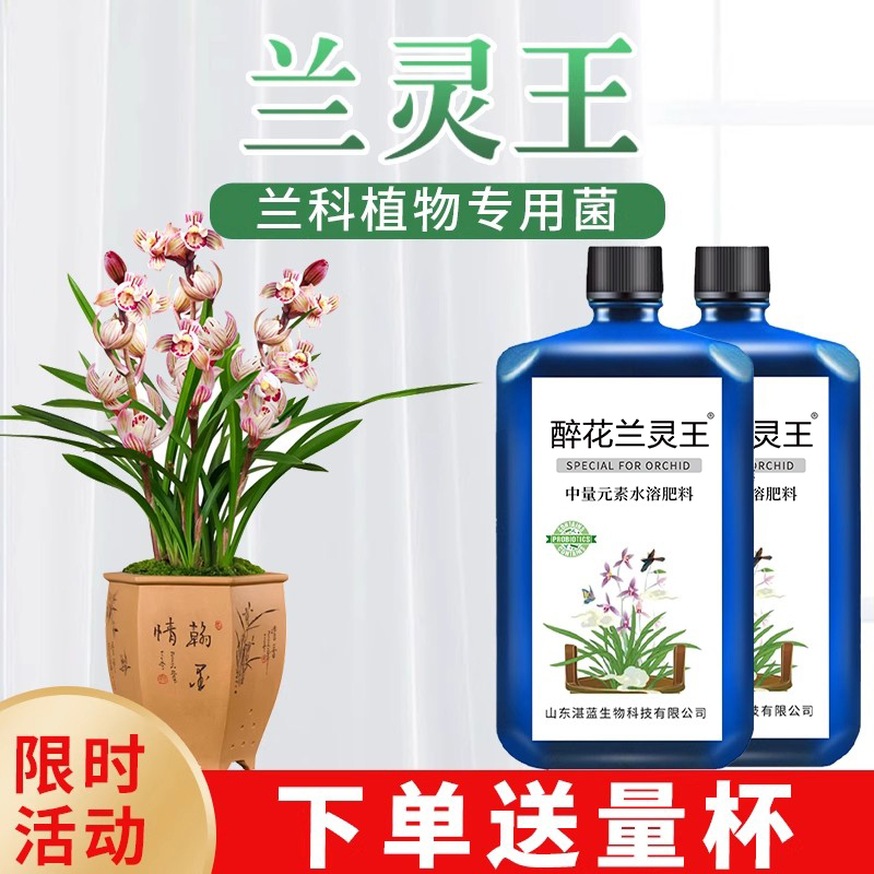 醉花兰灵王兰花专用营养液