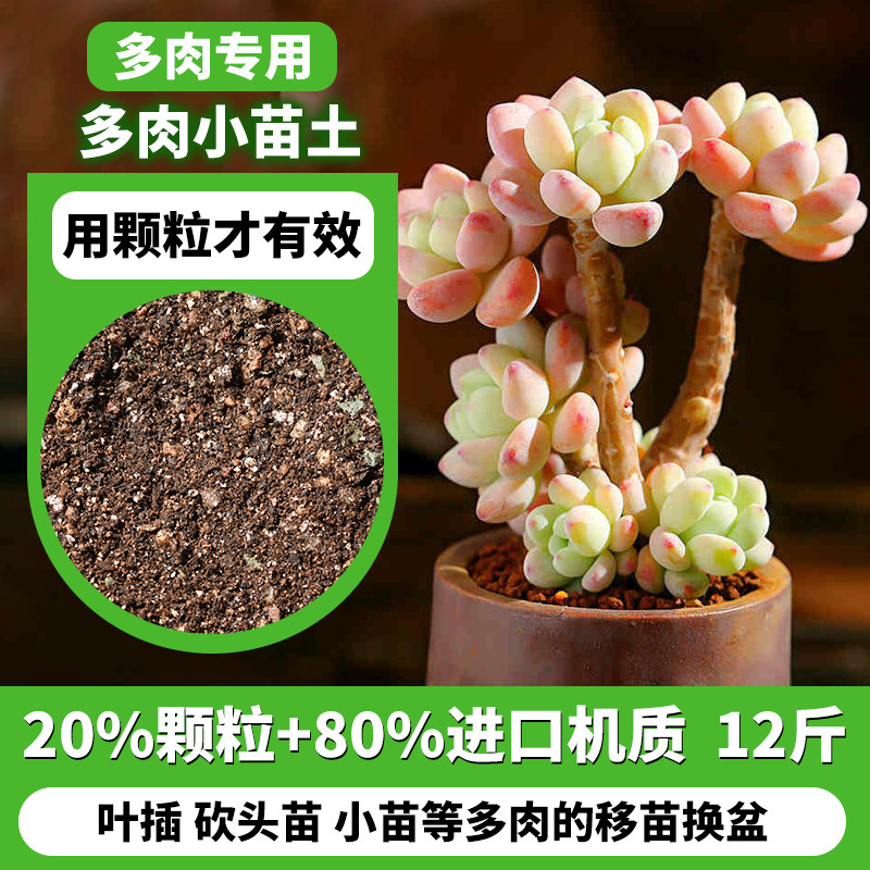 多肉颗粒土专用营养土泥炭土壤种植土肉肉叶插幼苗老桩纯颗粒花土