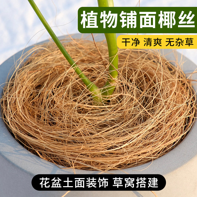 椰丝铺面盆景铺面草花盆土面装饰