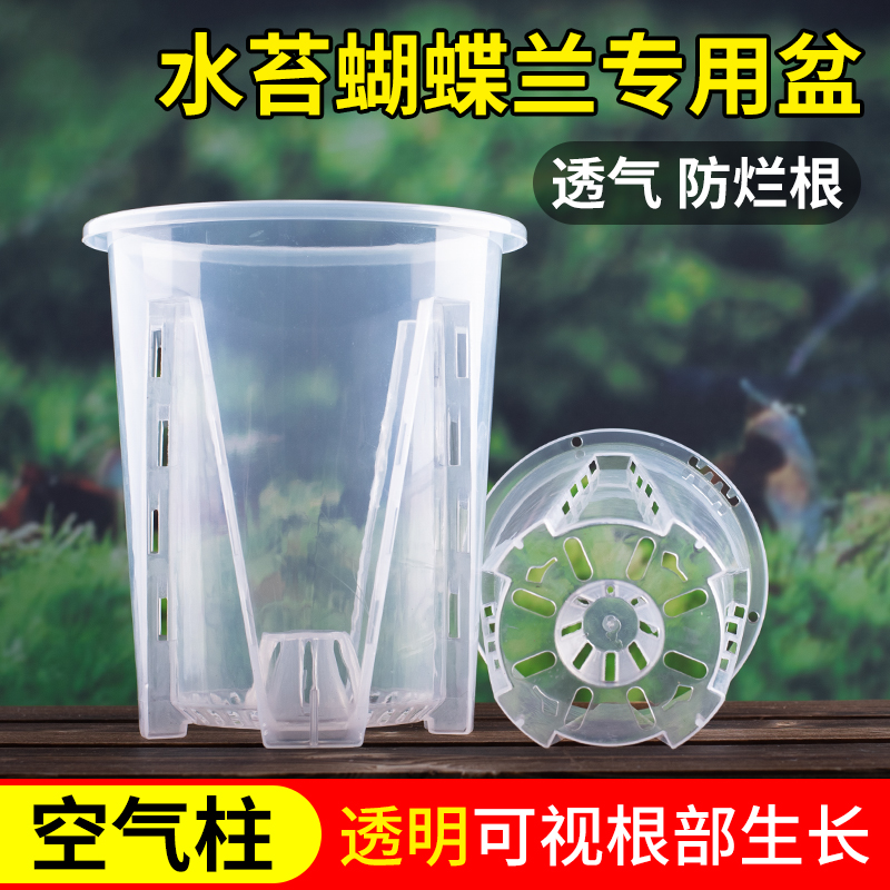 透明青山控根盆兰花水苔蝴蝶兰专用花盆塑料透气镂空大号花盆家用