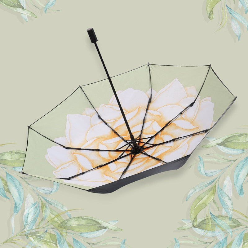 太阳伞防风加固遮阳便携折叠两用创意晴雨两用清新双层防晒黑胶伞
