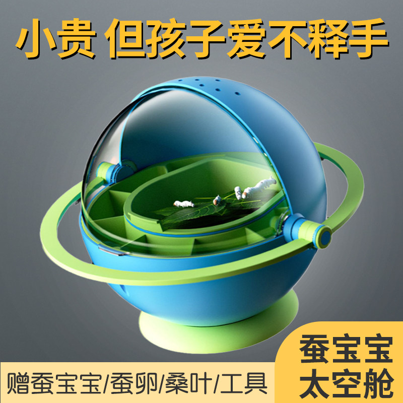 新鲜桑叶喂蚕学生养蚕套装蚕宝宝蚕卵蚕种活物观察盒可孵化小别墅