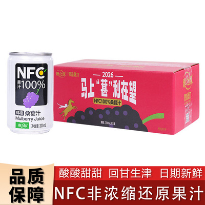 康之味NFC桑葚汁罐装原榨非浓缩纯果汁纯果蔬汁饮品200ml