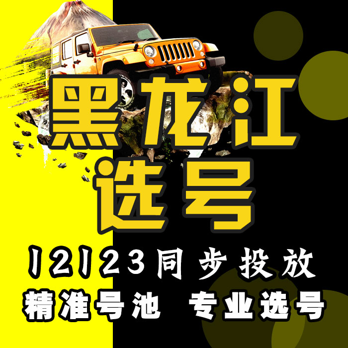 黑龙江哈尔滨齐齐哈尔鸡西鹤岗双其它服务