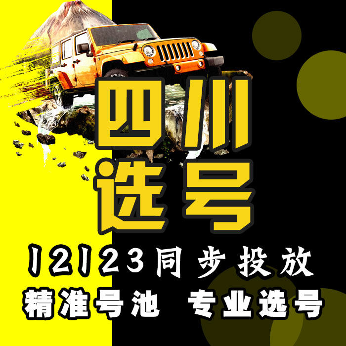四川成都自贡攀枝花泸州德阳绵阳其它服务