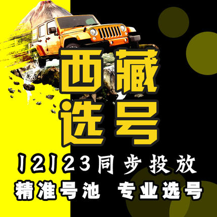 西藏拉萨昌都山南日喀则那曲阿里林芝新车牌照选号自编自选数据库