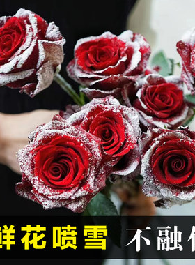圣诞节鲜花喷雪 不融化 鲜花喷色剂喷漆喷雾 喷雪玫瑰 仿真假雪花