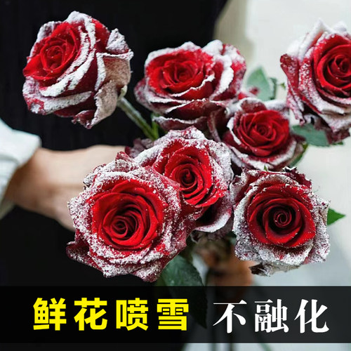 圣诞节鲜花喷雪 不融化 鲜花喷色剂喷漆喷雾 喷雪玫瑰 仿真假雪花