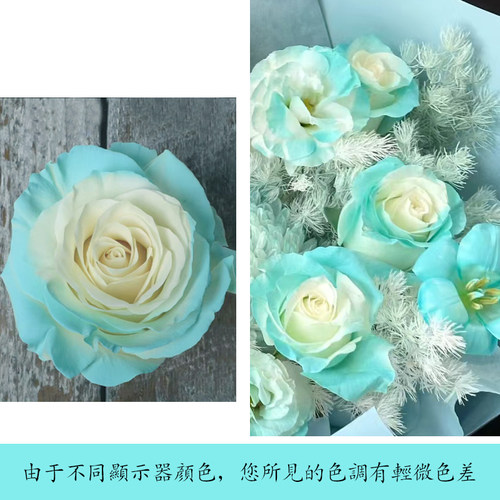 好易染鲜花喷色剂花艺玫瑰喷漆