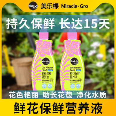 美乐棵鲜花保鲜剂玫瑰百合通用鲜切花保鲜营养液插花专用养花家用