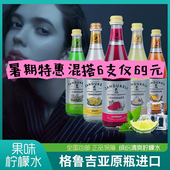 格鲁吉亚进口赞杜克力ZANDUKELI果味冰饮柠檬汽泡水龙蒿奶油玻璃