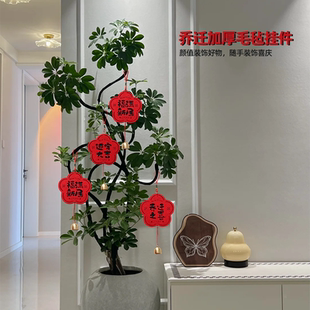 感门把手装 乔迁之喜盆栽绿植挂件新居布置搬家入宅仪式 饰氛围用品