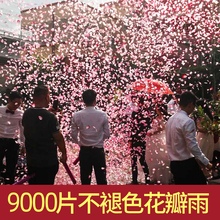花瓣雨结婚礼炮礼花筒礼筒炮彩带喷手拧花筒喷花婚礼婚庆用品大全
