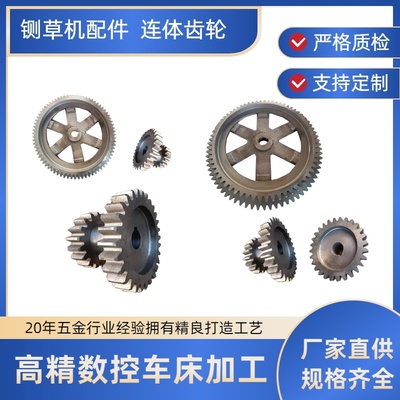 揉丝机配件大全高质量连体齿轮