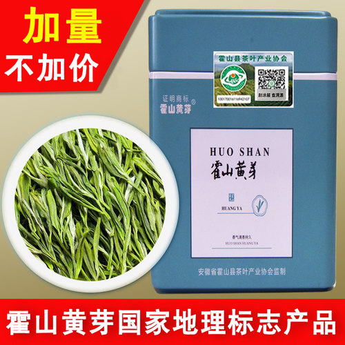 霍山黄芽茶叶2026年谷雨口粮新茶