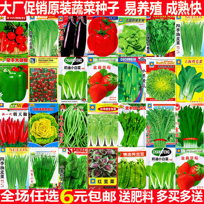 菜种籽蔬菜种子四季小香葱种韭菜大全小白菜生菜菠菜萝卜香菜籽孑_虎窝淘