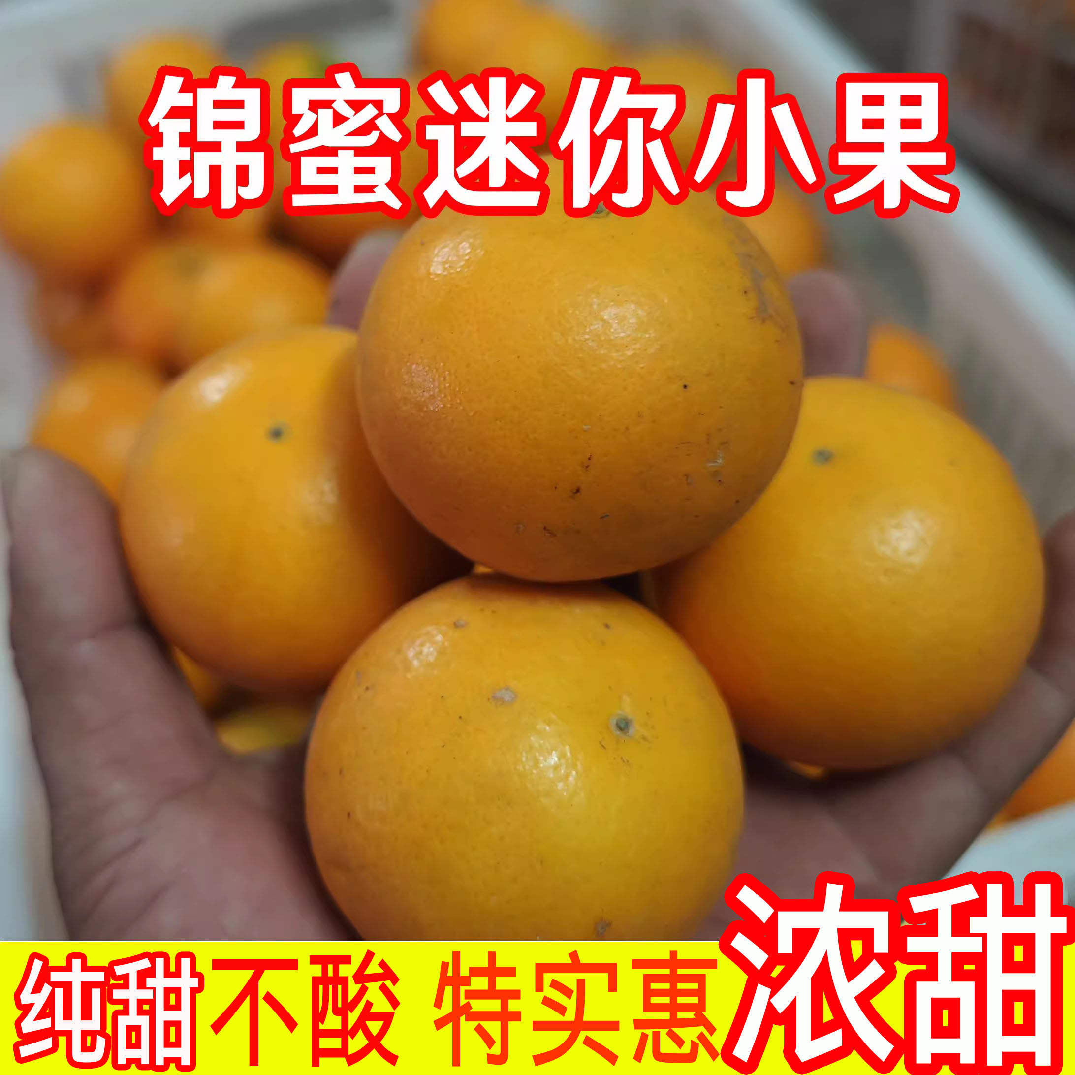 锦蜜甜橙迷你小果 正宗湖南麻阳冰糖橙子新鲜水果当季现摘