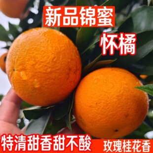 怀橘1号冰糖橙 麻阳非锦蜜诸橙禇超甜新鲜水果湖南甜柑橙子5/10斤