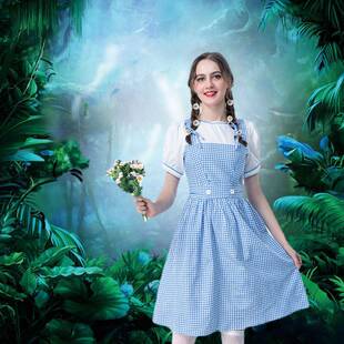 浅蓝格子连衣裙绿野仙踪 Cosplay公主裙服装 来图加工 定制桃乐丝