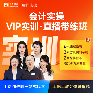 VIP实训直播带练班】之了课堂会计实操马勇网课视频课程课件知了
