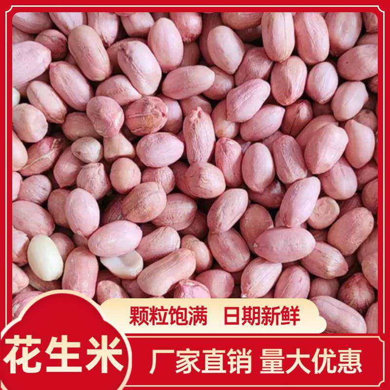 新花生米大颗粒商生花生米散装家去壳鲜花生米用
