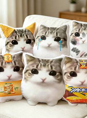 超萌被生活磨平喵脆角小猫抱枕